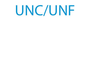 Brickor UNC/UNF