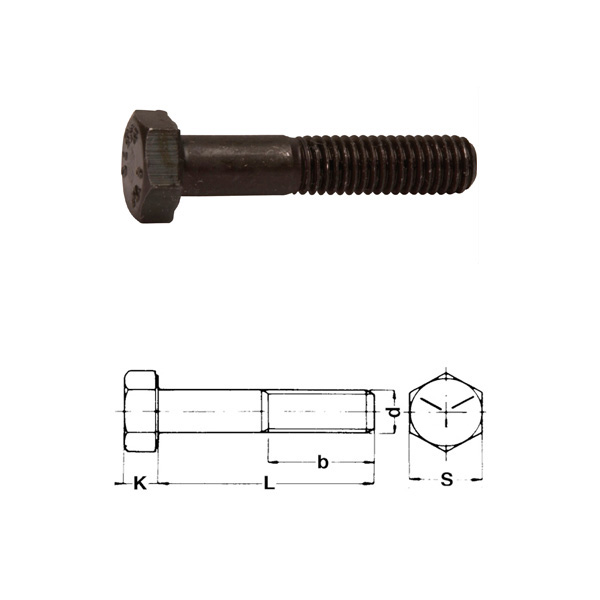 M10x45 Bult Obehandlad 10.9